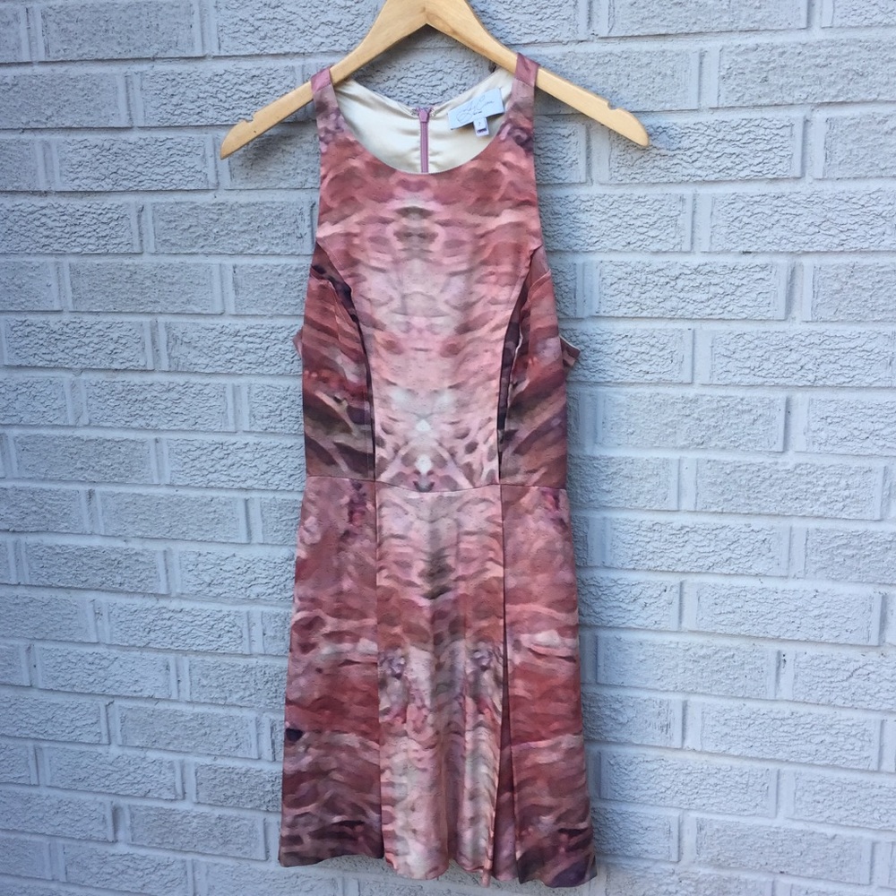 Joy Cioci Brooke Pink Print Silk Dress - Picture 2 of 8
